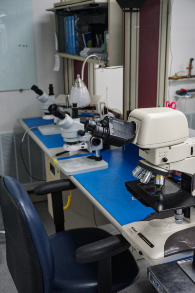 Die Visual Inspection